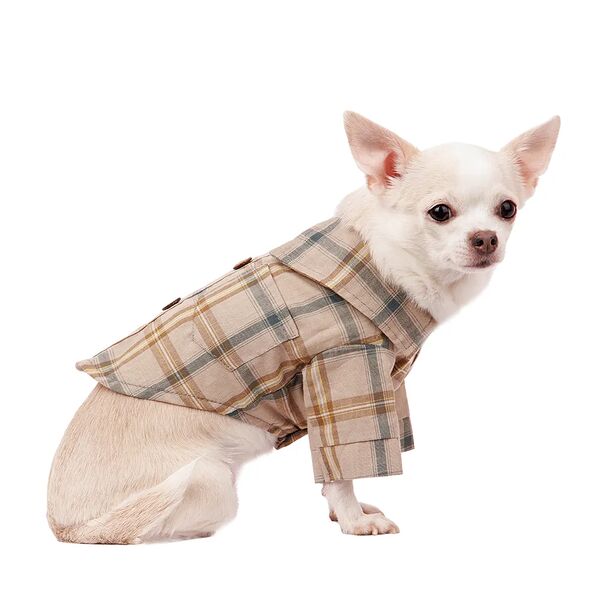 Рубашка с бантиком для собак S бежевый (унисекс)