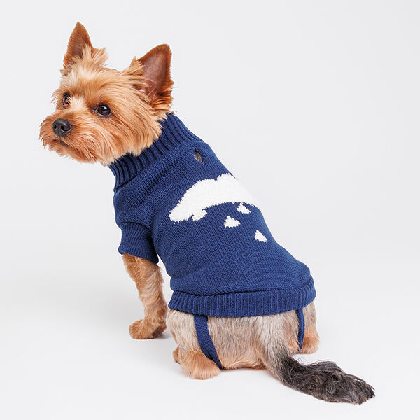 Свитер для собак, 25 см, синий с облачком