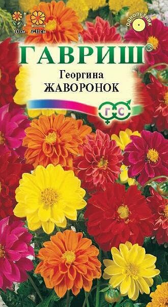 Семена георгина - жаворонок смесь ТМ Гавриш