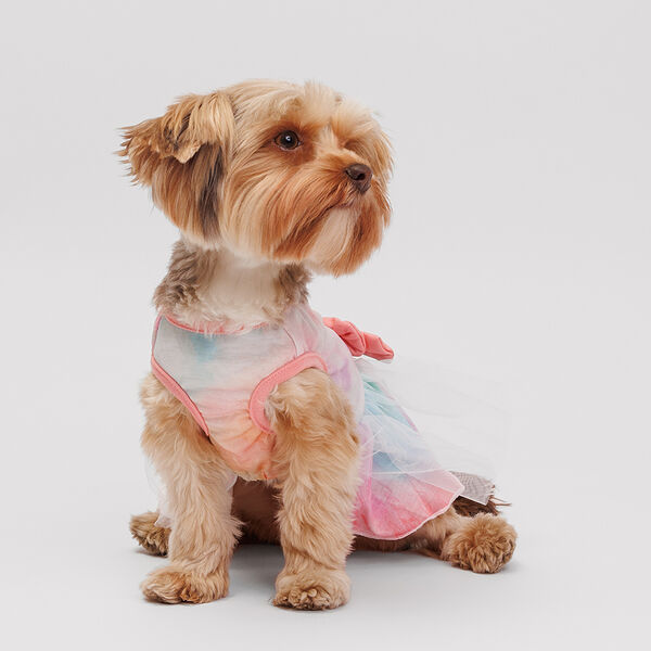 Платье для собак Хиппи яркие краски, S