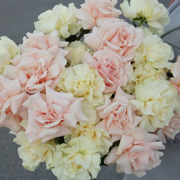 Букет из нежного микса французских роз