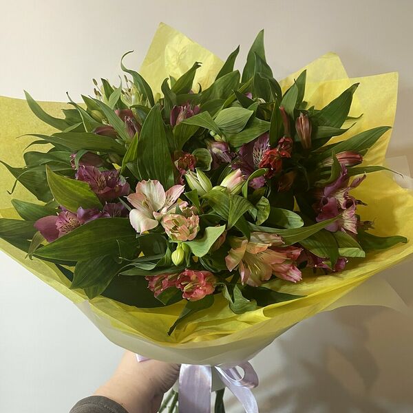 11 разноцветных альстромерий