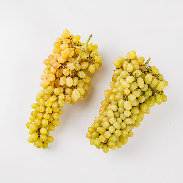 Виноград Кишмиш, без косточки