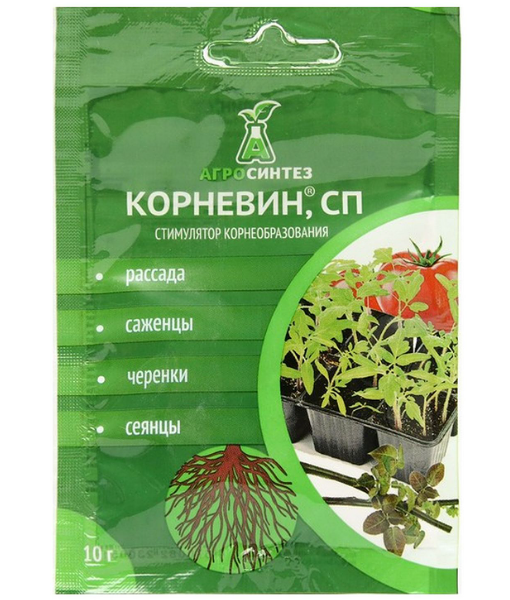 Порошок корневин