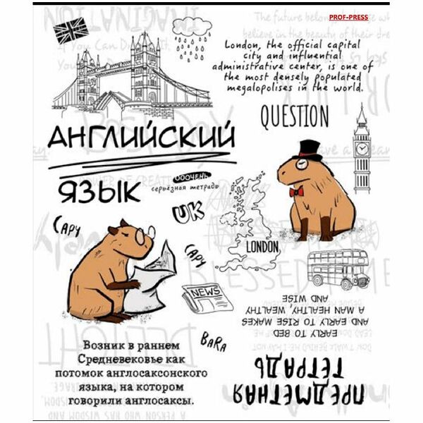 Тетрадь Prof-Press Капибара Английский язык общая клетка А5, 48 листов
