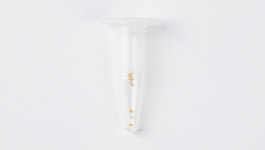 

Семена Поиск Бегония вечноцветущая зеленолистная 1 г