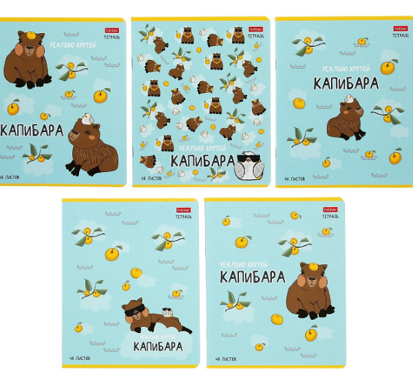 Тетрадь А5 в клетку Hatber Реально крутой Капибара, дизайн в ассортименте, 48 листов