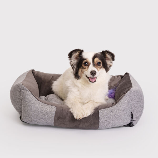 Лежак со съемным чехлом для собак и кошек, 60х45х16 см