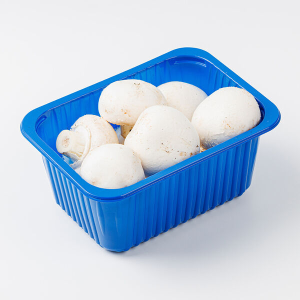 Грибы шампиньоны