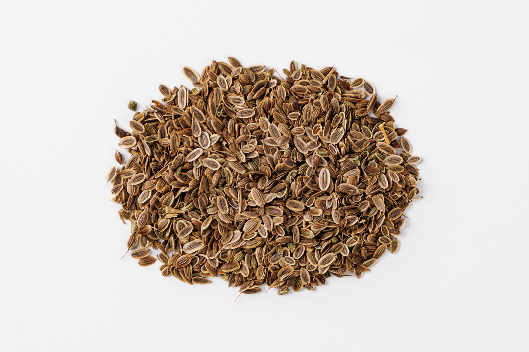 

Укроп Аллигатор Детская грядка 2 г