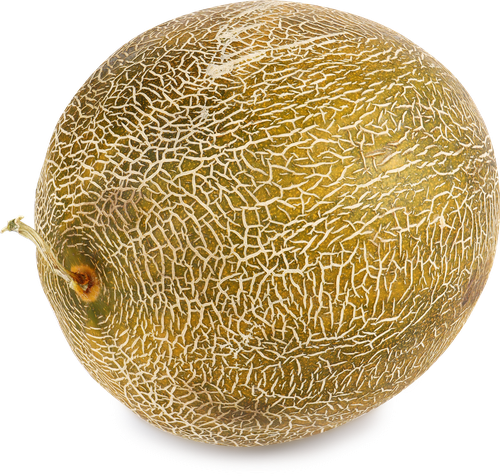 

Дыня Колхозница вес