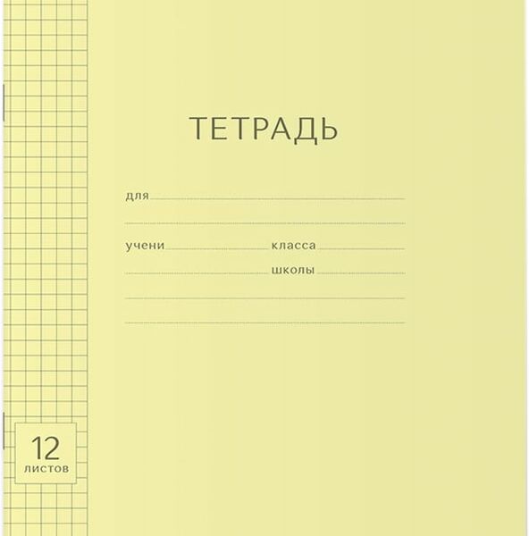 Набор тетрадей ErichKrause Классика Visio желтая клетка 12л 10шт