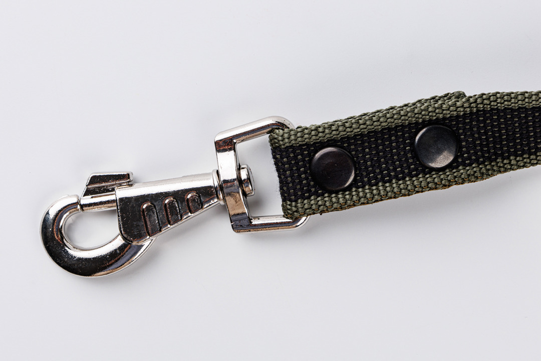 

Поводок для собак стропа с карабином Homepet 25 мм, 2 м