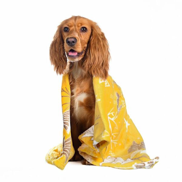 Плед Альв для кошек и собак мелких и средних пород, 75x50 см, желтый