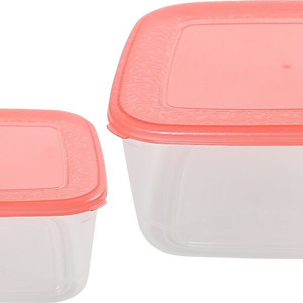 Контейнер Архимед для заморозки и СВЧ 0.6л+0.3л