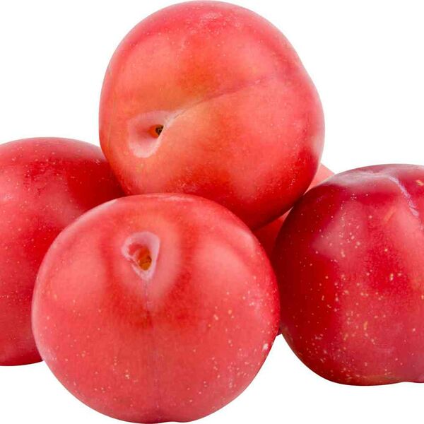 Слива сезонная