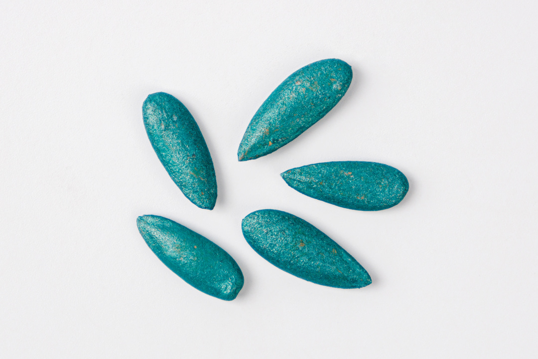 

Семена АСТ Дыня Августин F1