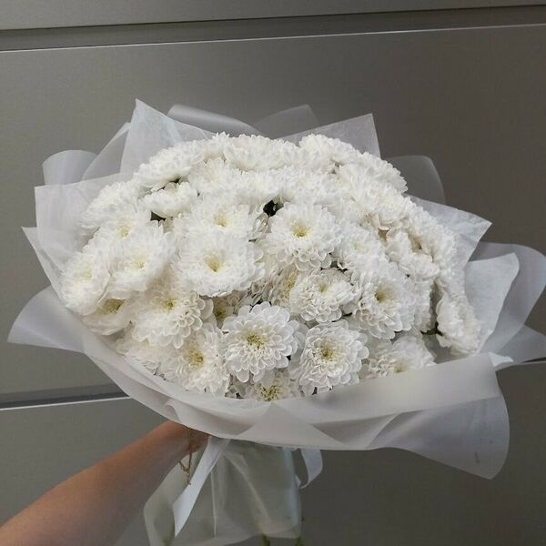 Белоснежное облако