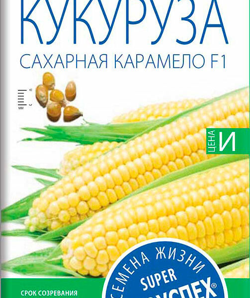 Семена Рости ТПК Кукуруза Карамело 4г