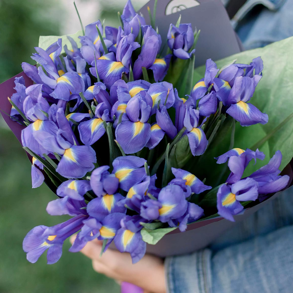 Букет из 19 синих ирисов в голубой пленке