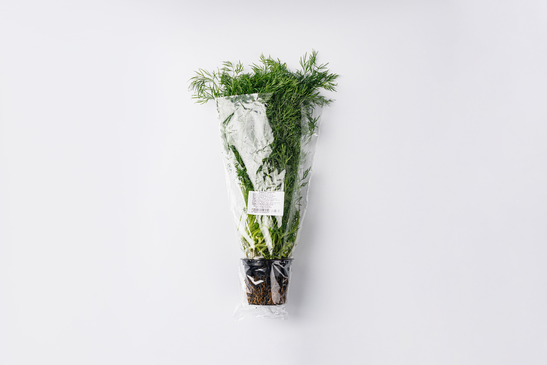 

Укроп в горшочке 30 г