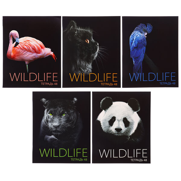 Clipstudio тетрадь 48л. в клетку, офсет, обл. мел.картон, скрепка, 