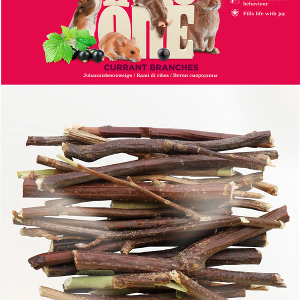 Лакомство для грызунов LITTLE ONE Ветви смородины 50 г