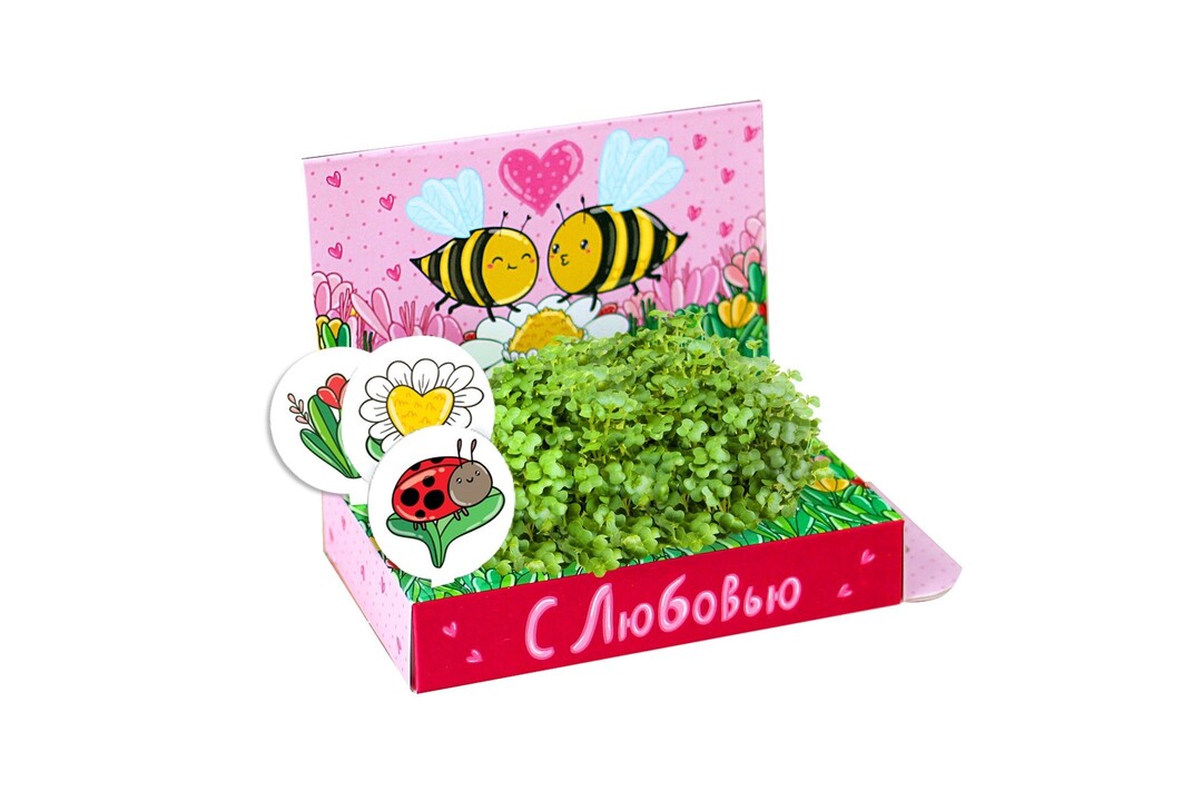 

Набор для проращивания с любовью!