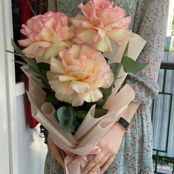 Комплимент