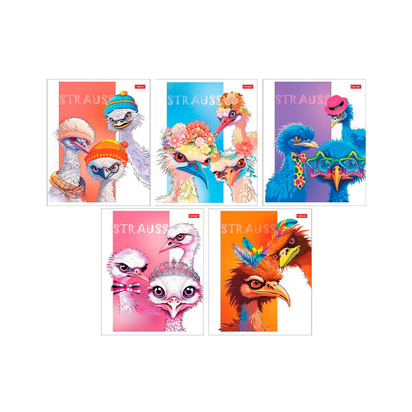 Тетрадь Модные страусы 48л А5ф клетка 65г/кв.м на скобе мат ламин скругл углы 8Т5лВ1