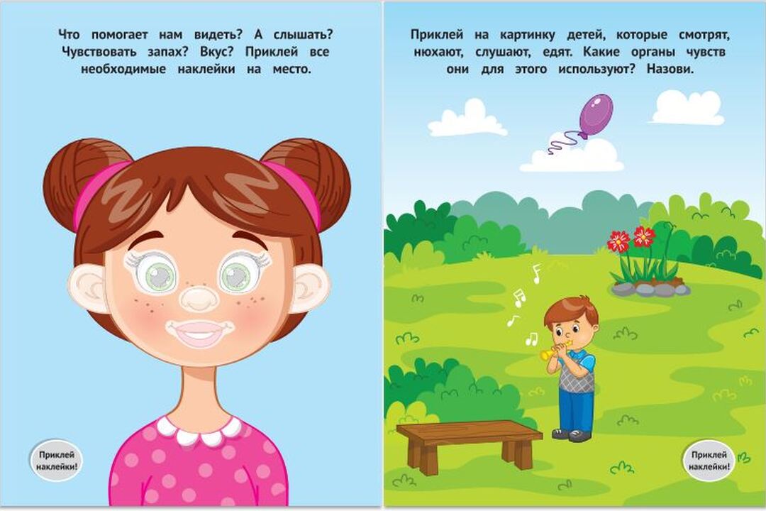 

Книжка с наклейками: Мое тело 1+