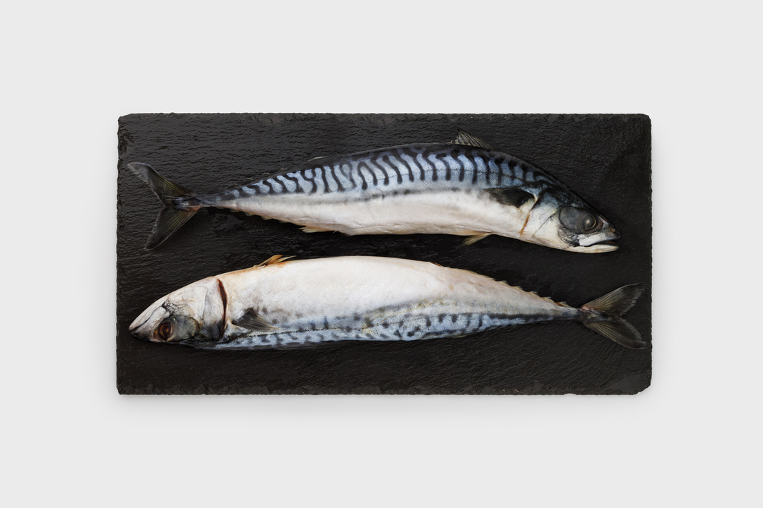 

Скумбрия 300/600 ВкусВилл замороженная вес