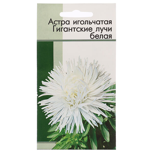 Семена астра игольчатая гигантские лучи белая 0,2 гр