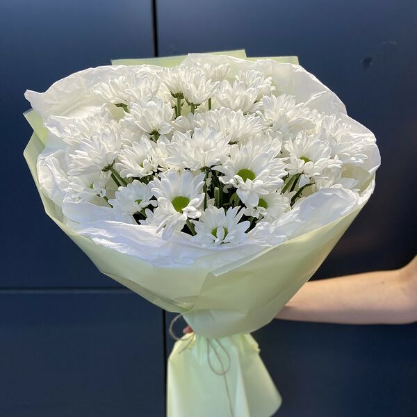 Хризантема ромашковая