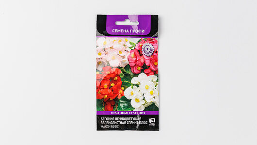 Семена Бегония 