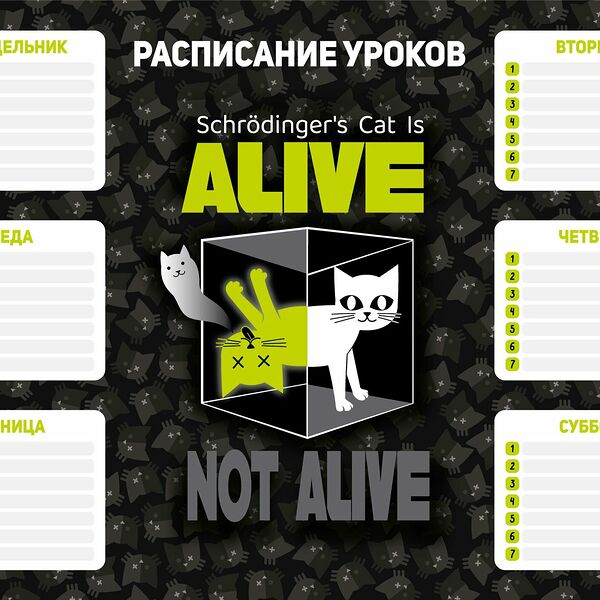 Расписание уроков НАУЧНЫЙ КОТ 210x297мм,мелован.картон 235г  63550/К