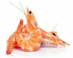 Креветки королевские 50/70 замороженные, вес