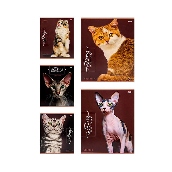 Тетрадь Благородные кошки твин-лак  клетка 48л  цвет мелов обл 5 диз в спайке48-9380