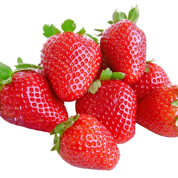 Клубника Дск Россия