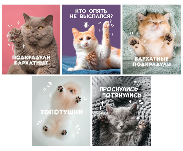 Тетрадь Listoff Подкрадули A5 клетка, 80 л цвет в ассортименте, 1шт 