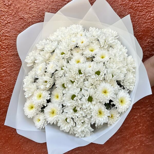 Букет из 15 белых хризантем