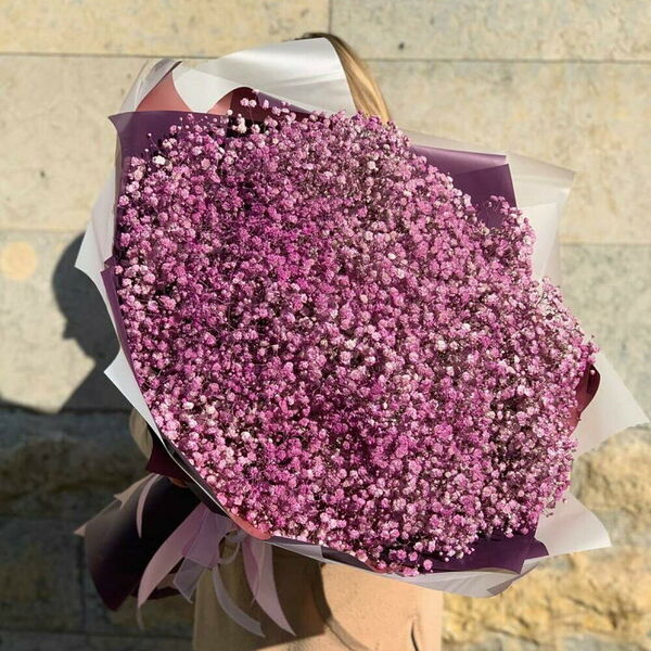 Розовое облако гипсофилы