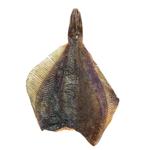 Камбала вяленая