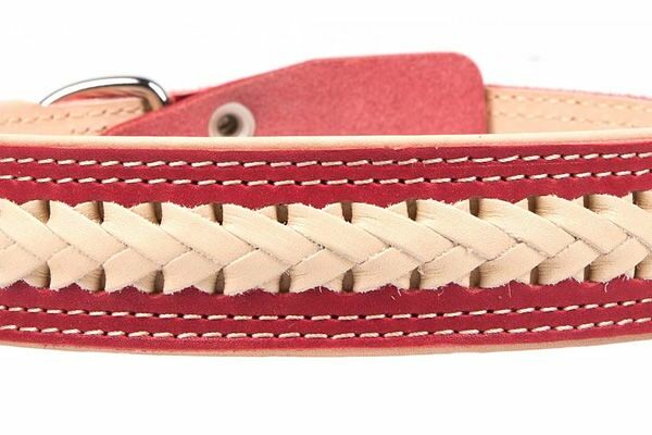 Ошейник НРР 35/3 ПРЕМИУМ с косой беж для собак