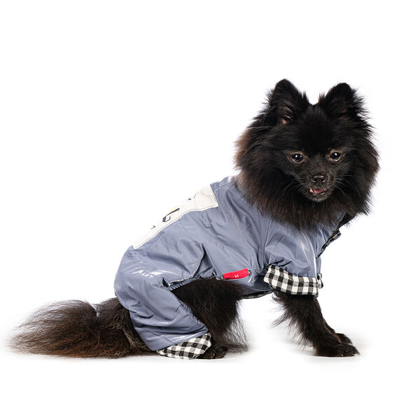 Комбинезон для собак I m cool boy S серый (унисекс)