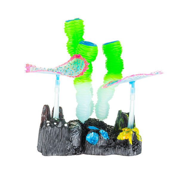 Коралл губка с грибами в цвете 11х8х12см