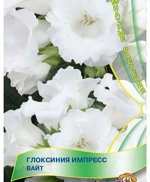 Семена Глоксиния Импресс вайт ТМ Поиск