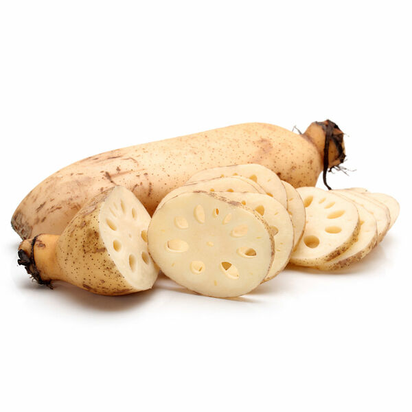 Лотос корень