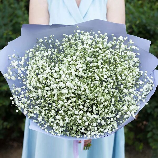 Букет из 11 белых гипсофил