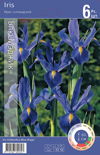 

Луковицы Ирис голландский Блю Мэджик 8/9, Арт. 50, 6шт